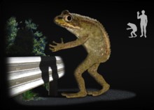 You are currently viewing URBAN LEGENDS #1: The Loveland Frogman – Loveland, OH